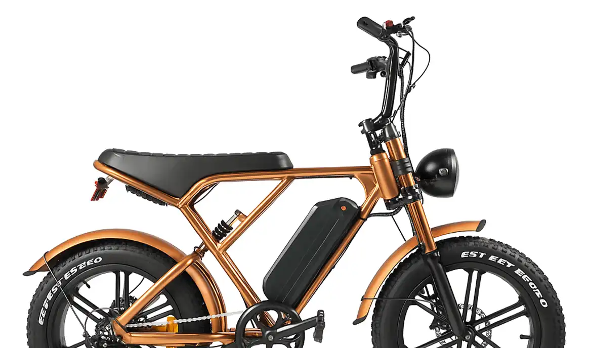 Fatbike Reparatie Zaandam – Onderhoudspakket Brons Fatbike Reparatie Zaandam - Onderhoudspakket Brons