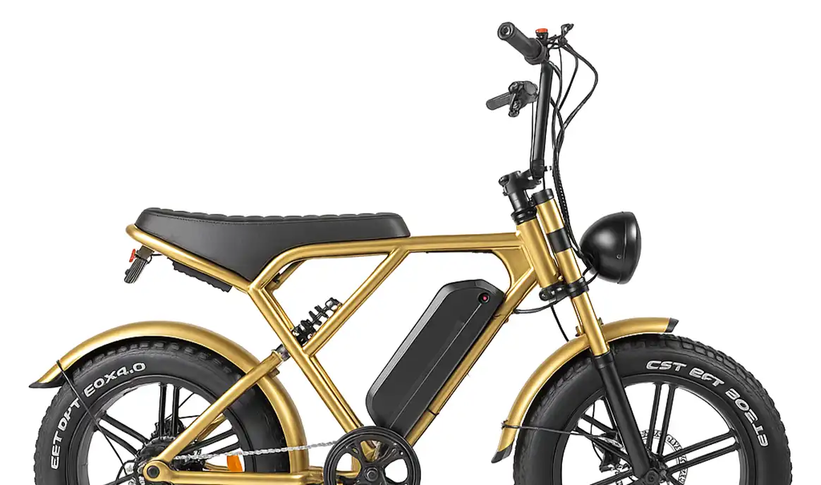 Fatbike Reparatie Zaandam – Onderhoudspakket Goud Fatbike Reparatie Zaandam - Onderhoudspakket Goud